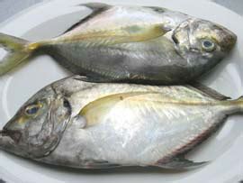 Lison/Golden Trevally/Badlon fish marination .